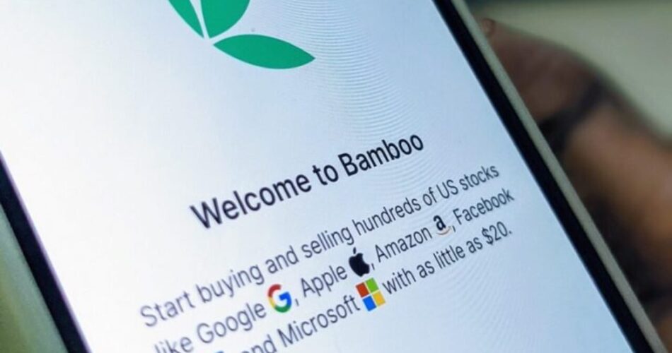 Bamboo