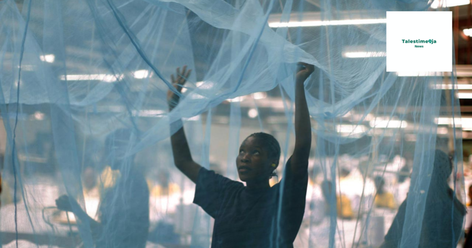 Nigeria Buhari Mosquito net